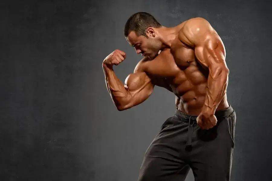 Como definir o corpo com musculação: dicas e estratégias